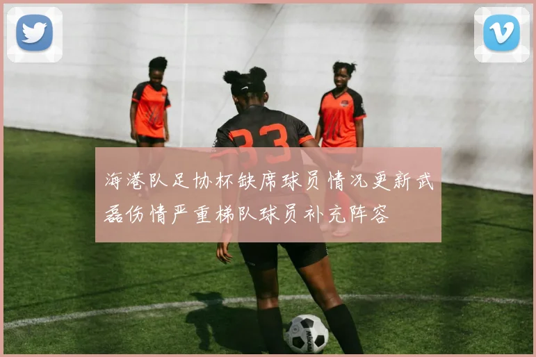 海港队足协杯缺席球员情况更新武磊伤情严重梯队球员补充阵容